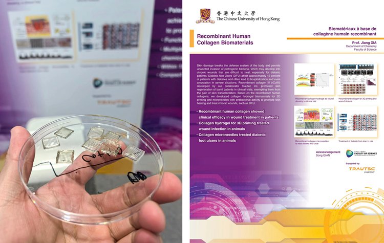 图片03_副本 图片03_副本